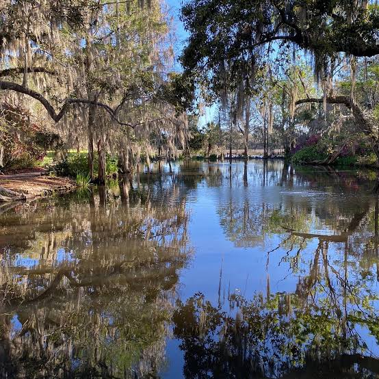 Magnolia Plantation