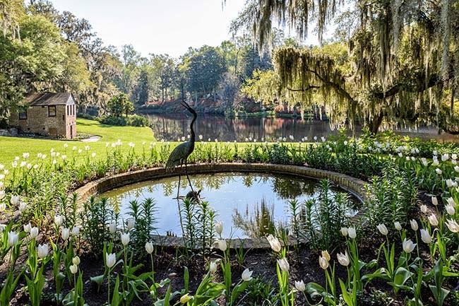 Middleton Place Passes