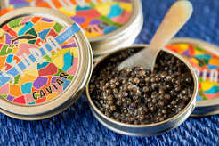 MOCAA International Caviar Masterclass and Tasting